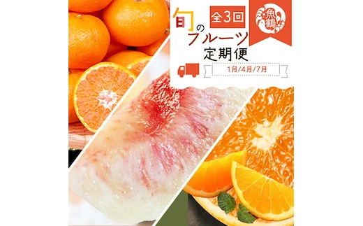 〈定期便〉【1・4・7月 全3回】紀州和歌山産旬のフルーツセット(みかん・清見・桃)