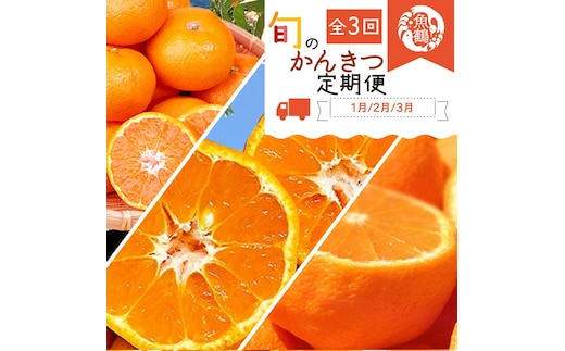 〈定期便〉【1・2・3月 全3回】紀州和歌山産旬のフルーツセット(みかん・不知火・せとか)