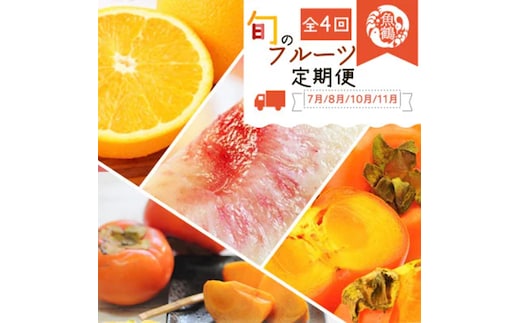 〈定期便〉【7・8・10・11月 全4回】紀州和歌山産旬のフルーツセット(バレンシア・桃・ひらたねなし柿・富有柿)