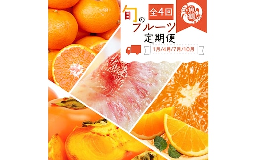 〈定期便〉【1・4・7・10月 全4回】紀州和歌山産旬のフルーツセット(みかん・清見・桃・柿)