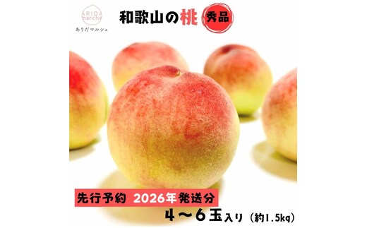 【2026年先行予約】【夏の美味】フルーツ王国 和歌山の桃 4～6玉(約1.5kg) ｜ もも モモ 桃 国産 フルーツ 果物 果実 お取り寄せ ギフト デザート スイーツ 贈り物