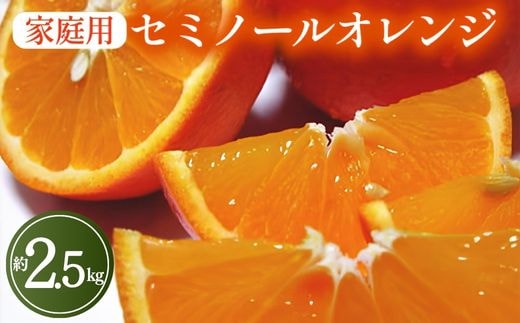 【先行予約】【春の美味】【農家直送】爽快カンキツ セミノールオレンジ（ご家庭用）約2.5kg ｜ 柑橘 フルーツ 果物 くだもの 食品 人気 おすすめ 選べる 国産 美浜町