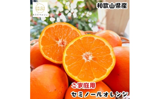 セミノールオレンジ（ご家庭用） 10kg+200g(補償分) ｜ 柑橘 フルーツ 果物 くだもの 食品 人気 おすすめ 選べる 国産 美浜町