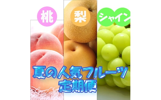 フルーツ 定期便 全3回 【7月・8月・9月発送】 和歌山の夏の人気フルーツをお届け（桃・梨・シャインマスカット） ｜ 桃 葡萄 梨 和歌山県産 国産 果物 旬の果物 産地直送