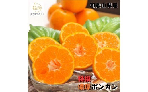 【特選】濃厚 ポンカン 5kg ｜ みかん 蜜柑 柑橘 果物 フルーツ くだもの 果実 国産 和歌山県 晩柑