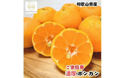 極甘 柑橘有田育ちの 濃厚 ポンカン（家庭用）3kg+200g(傷み補償分) ｜ 有田 柑橘 フルーツ みかん オレンジ 産地直送