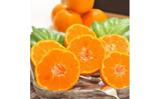 【先行予約】【冬の美味】【農家直送】濃厚ポンカン（ご家庭用）約3kg ｜ 有田 柑橘 フルーツ みかん オレンジ 産地直送