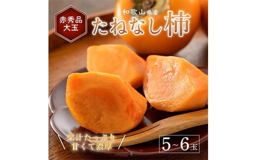 先行受付! 柿 種無し 赤秀品 大玉 5～6個 約2kg