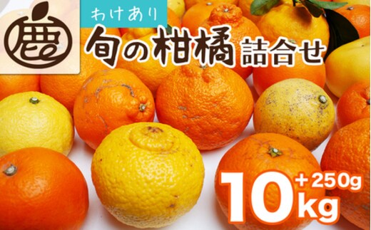 ＜1月より発送＞家庭用 柑橘詰合せ10kg+250g（傷み補償分）（傷み補償分）【訳あり・わけあり】【有田の春みかん詰め合わせ・フルーツ詰め合せ・オレンジつめあわせ】【光センサー選別】