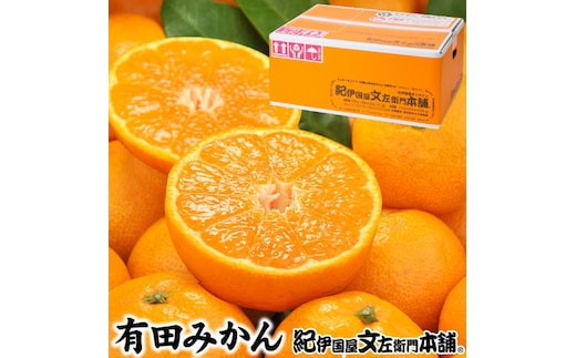 ブランド 有田 みかん 秀品 約2.8kg【サイズおまかせ】