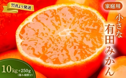 家庭用 小玉な有田みかん10kg+250g（傷み補償分）