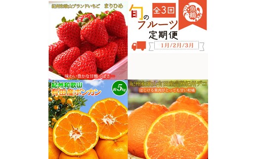 【定期便】【1・2・3月 全3回】紀州和歌山産旬 フルーツ定期便（いちご 約250g×4P 1月、ポンカン 5kg 2月、紀州デコ 約5kg 3月発送）