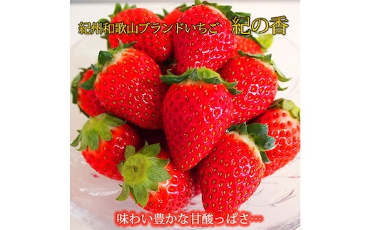 【先行予約】 紀州和歌山産 ブランド いちご 「紀の香」約250g×4パック（計約1kg）