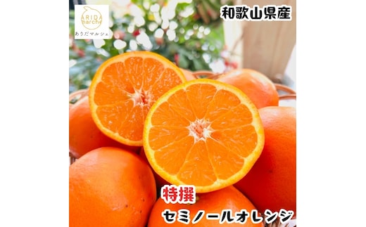【特撰】セミノール 5kg+200g(補償分)｜ みかん 高級 くだもの 晩柑 柑橘 和歌山