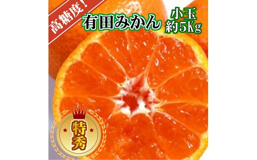【先行予約】【特秀品】有田みかん 和歌山県産 約5kg（小玉 S～Mサイズ混合）