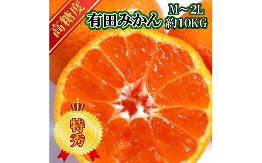 【先行予約】【特秀品】有田みかん 和歌山県産 約10kg（M～2Lサイズ混合）