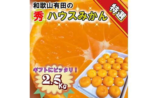 【6月発送】【特選】【赤秀】ハウスみかん 和歌山有田 約2.5kg （S～Lサイズ混合）