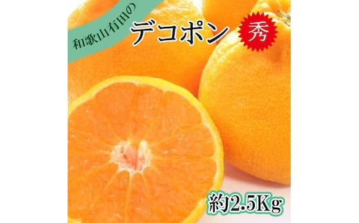 【先行予約】【秀品】デコポン 和歌山有田 約2.5kg