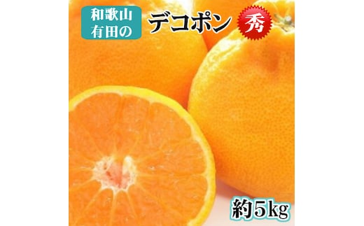 【先行予約】【秀品】デコポン 和歌山有田 約5kg