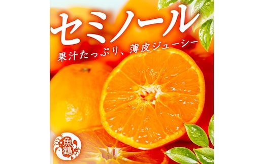 【先行予約】 セミノールオレンジ 約5kg ジューシー柑橘 和歌山県産