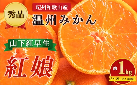 【先行予約】【秀品】紀州和歌山産 温州みかん 山下紅早生「紅娘」 約1kg（箱込み）S～2L サイズ混合