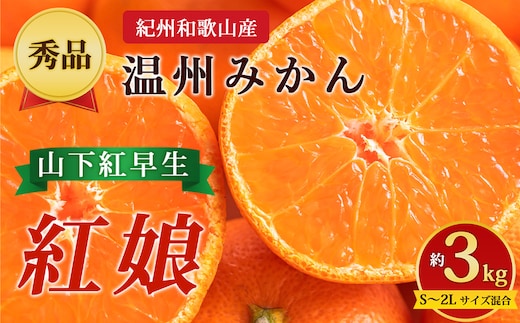 【先行予約】【秀品】紀州和歌山産 温州みかん 山下紅早生「紅娘」約3kg（箱込み）S～2L サイズ混合