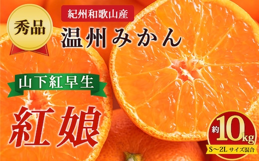 【先行予約】【秀品】紀州和歌山産 温州みかん 山下紅早生「紅娘」約10kg（箱込み）S～2L サイズ混合