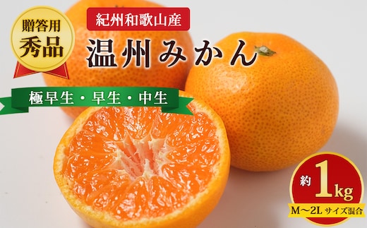 【先行予約】【贈答用・秀品】紀州和歌山産 温州みかん 約1kg（箱込み）M～2L サイズ混合（極早生・早生・中生）