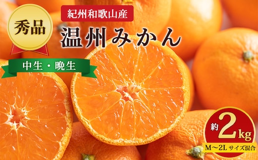 【先行予約】【秀品】紀州和歌山産 温州みかん 約2kg（箱込み） M～2L サイズ混合（中生・晩生）