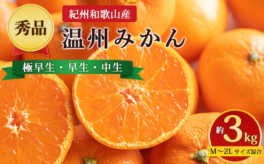 【先行予約】【秀品】紀州和歌山産 温州みかん 約3kg（箱込み） M～2L サイズ混合（極早生・早生・中生）