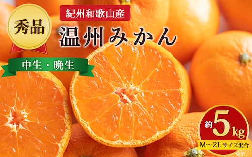 【先行予約】【秀品】紀州和歌山産 温州みかん 約5kg（箱込み） M～2L サイズ混合（中生・晩生）