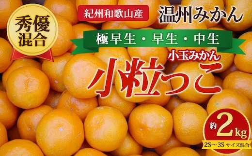 【先行予約】【秀優混合】紀州和歌山産 温州みかん「小粒っこ」約2kg（箱込み）2S～3S サイズ混合 小玉みかん（極早生・早生・中生）