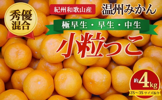 【先行予約】【秀優混合】紀州和歌山産 温州みかん「小粒っこ」約4kg（箱込み）2S～3S サイズ混合 小玉みかん（極早生・早生・中生）