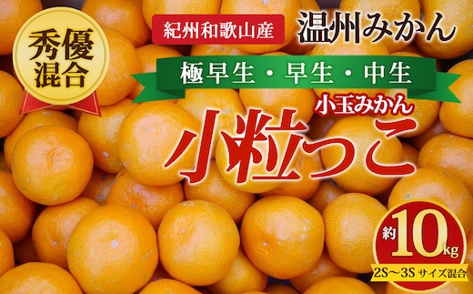 【先行予約】【秀優混合】紀州和歌山産 温州みかん「小粒っこ」約10kg（箱込み）2S～3S サイズ混合 小玉みかん（極早生・早生・中生）
