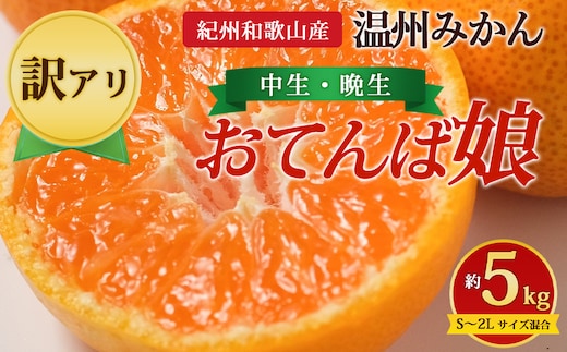 【先行予約】【訳あり】紀州和歌山産 温州みかん「おてんば娘」約5kg（箱込み）S～2L サイズ混合（中生・晩生）