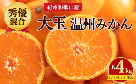 【先行予約】【秀優混合】紀州和歌山産 大玉 温州みかん 約4kg（箱込み） 2L～3L サイズ混合