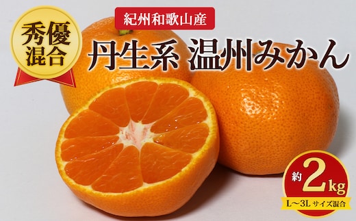 【先行予約】【秀優混合】紀州和歌山産 丹生系 温州みかん 約2kg（箱込み）L～3L サイズ混合