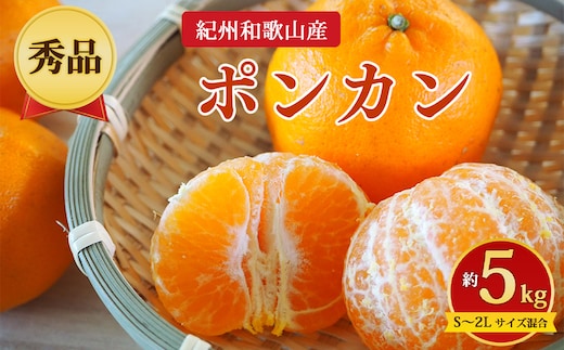【先行予約】【秀品】紀州和歌山産 ポンカン 約5kg（箱込み）S～2L サイズ混合