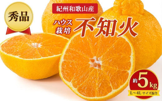 【先行予約】【秀品】紀州和歌山産 ハウス栽培 不知火 約5kg（箱込み）L～4L サイズ混合