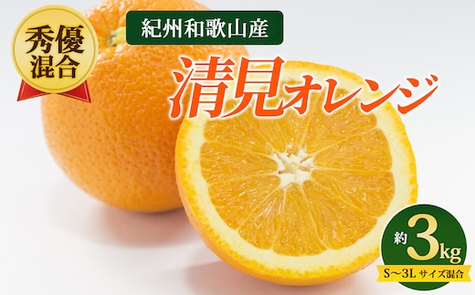 【先行予約】【秀優混合】紀州和歌山産 清見オレンジ 約3kg（箱込み）S～3L サイズ混合