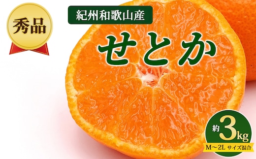 【先行予約】【秀品】紀州和歌山産 せとか 約3kg（箱込み） M～2L サイズ混合