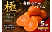 ＼光センサー選別／極 有田みかんプレミアム 約5kg【光センサー 高糖度選別品】2S～Lの小玉サイズ 有機質肥料100% | 光センサー選別 温州みかん みかん 高糖度 柑橘 果物 フルーツ 甘い◇
