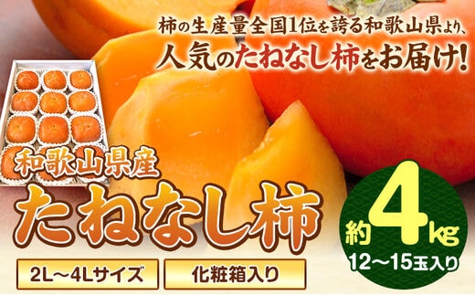 【2026年先行予約】【秋の味覚】和歌山産のたねなし柿2L～4Lサイズ約4kg（化粧箱入り）《2026年10月上旬-11月上旬頃出荷予定》 和歌山県 日高町 かき 種なし---wsh_gsk165_10j11j_25_17000_4kg---