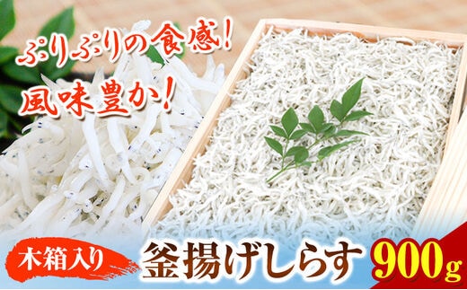 釜あげしらす (木箱) 900g 大五海産《60日以内に出荷予定(土日祝除く)》 和歌山県 日高町 釜揚げ しらす シラス 釜揚げシラス 海産物 海鮮 海鮮丼 丼 シラス丼 しらす丼---wsh_cdig6_60d_23_17000_900g---