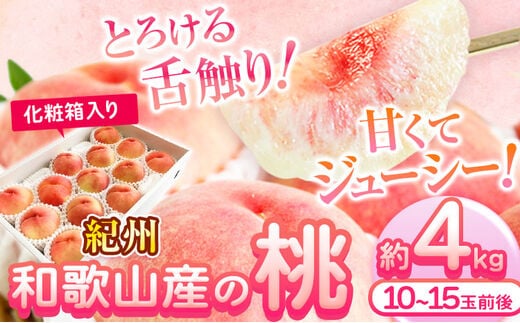 紀州和歌山産の桃 約4kg 10～15玉 化粧箱入 魚鶴商店 《2026年6月下旬-8月上旬より発送予定》 和歌山県 日高町 モモ---wsh_cuot158_6g8j_25_27000_4kg---｜ あかつき桃白鳳桃日川白鳳桃八旗白鳳桃桃清水白桃桃川中島白桃つきあかり桃和歌山の桃白桃桃