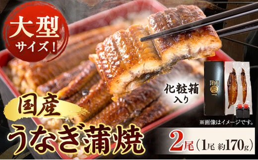 大型サイズ ふっくら柔らか国産うなぎ蒲焼き 2尾 化粧箱入 魚鶴商店