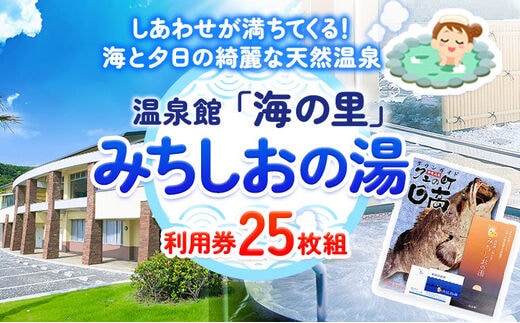 【温泉館「海の里」みちしおの湯】利用券 25枚組 《30日以内に出荷予定(土日祝除く)》和歌山県 日高町 日高町役場 温泉 チケット---iwsh_hdyumimy_30d_23_40000_25p---