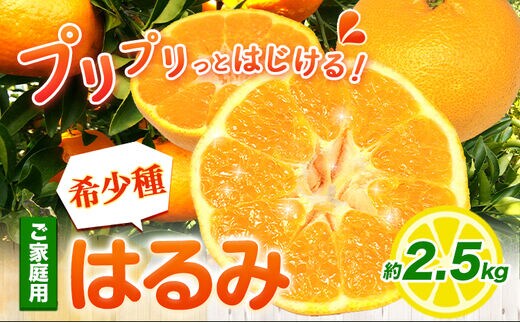 ご家庭用 はるみ 2.5kg +250g 傷み補償分 池田鹿蔵農園@日高町 《2月上旬-3月末頃出荷》 和歌山県 日高町 はるみ みかん 柑橘 フルーツ ご家庭用 訳あり 光センサー選別【配送不可地域あり】---wsh_idn328_2j3m_25_10000_2500g---