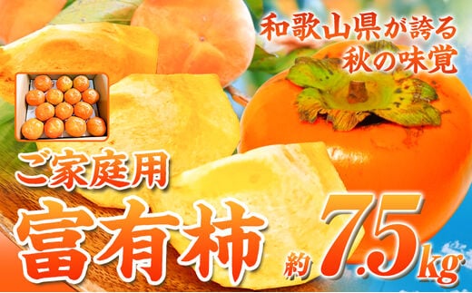 【先行予約】ご家庭用 和歌山秋の味覚 平核無柿 ( ひらたねなしがき )約7.5kg 株式会社魚鶴商店《10月上旬-11月上旬頃出荷》 和歌山県 日高町 柿 カキ かき たねなし ジューシー フルーツ---wsh_uot195_10j11j_25_19000_7500g---