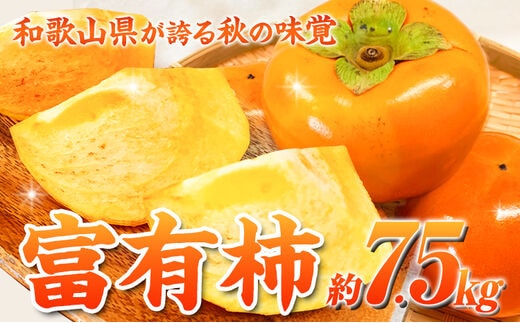 ＜先行予約＞和歌山 秋の味覚 富有柿 約7.5kg 株式会社魚鶴商店《2026年11月中旬-12月上旬頃出荷》和歌山県 日高町 柿 富有柿 フルーツ---wsh_uot199_11c12j_25_25000_75---
